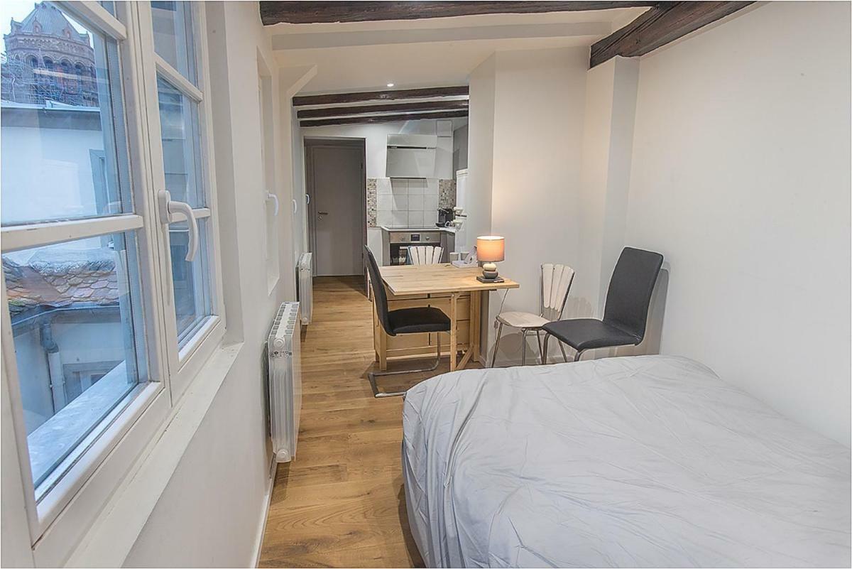 L'Oeil Sur La Fleche Apartment Страсбург Екстериор снимка