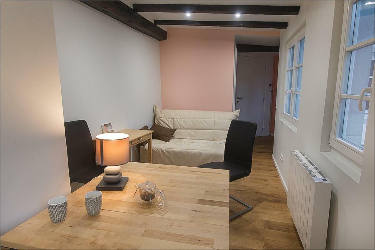 L'Oeil Sur La Fleche Apartment Страсбург Екстериор снимка